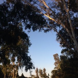 Meet your Posher, Marie